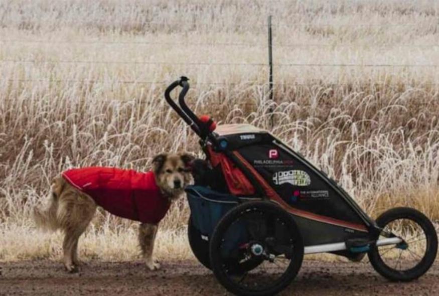 Το ταξίδι του Τομ και της Σαβάνα (The World Walk)