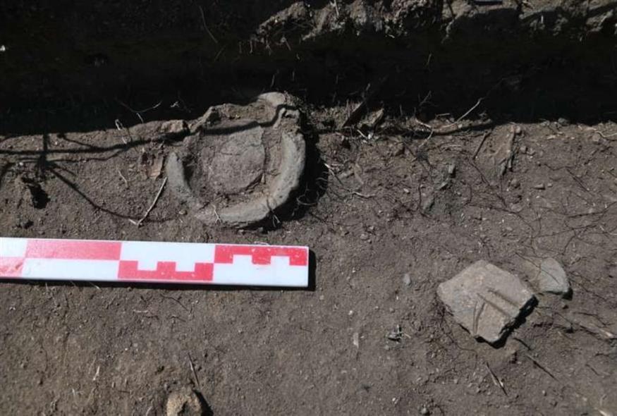 Αρχαιολογικά ευρήματα VK Merz & IK Merz