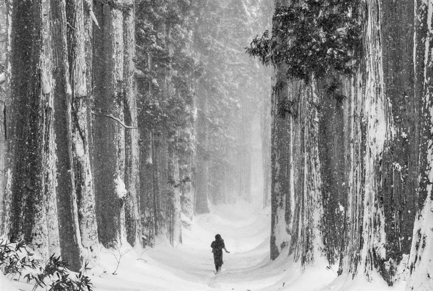 Χιονοθύελλα (UNSPLASH)