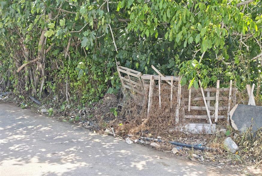 Ορισμένα ακαθάριστα οικόπεδα έχουν γίνει ζούγκλες και είναι εστίες μόλυνσης και μετάδοσης πυρκαγιών