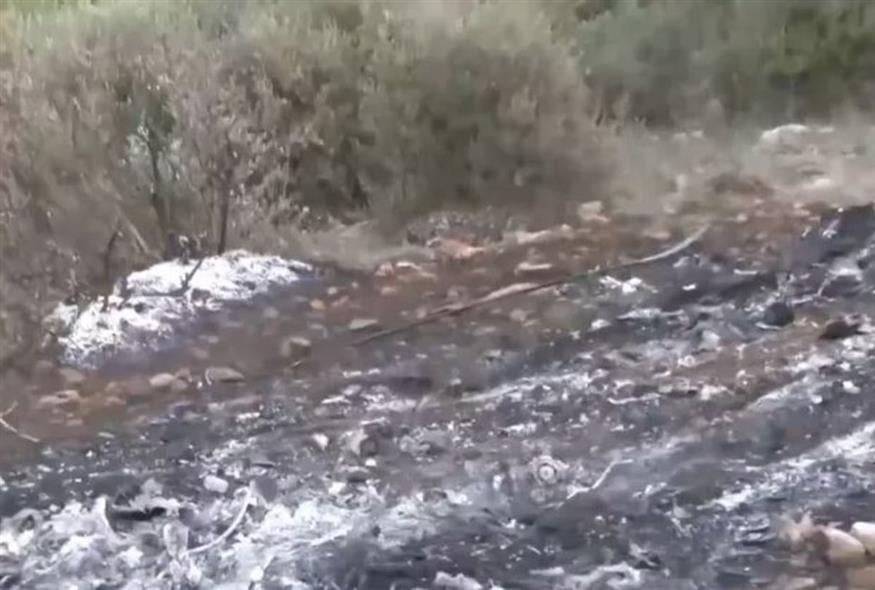 Το σημείο όπου βρέθηκε το αυτοκίνητο στα Σκούρτα Βοιωτίας