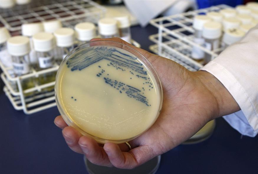 Πώς ο «πόλεμος των φάγων» μπορεί να σώσει ζωές από τη μόλυνση με υπερβακτήρια (φωτογραφία αρχείου/ Associated Press)