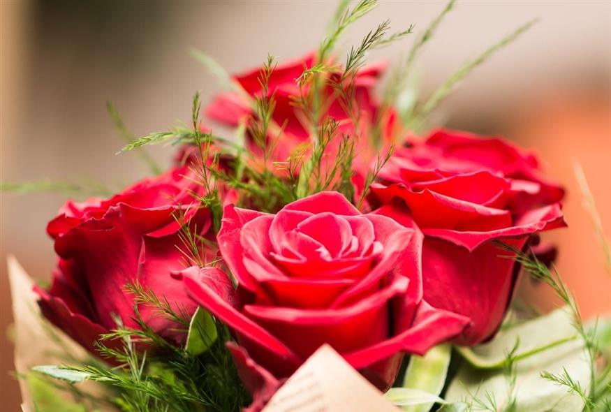Τριαντάφυλλα (Pixabay)