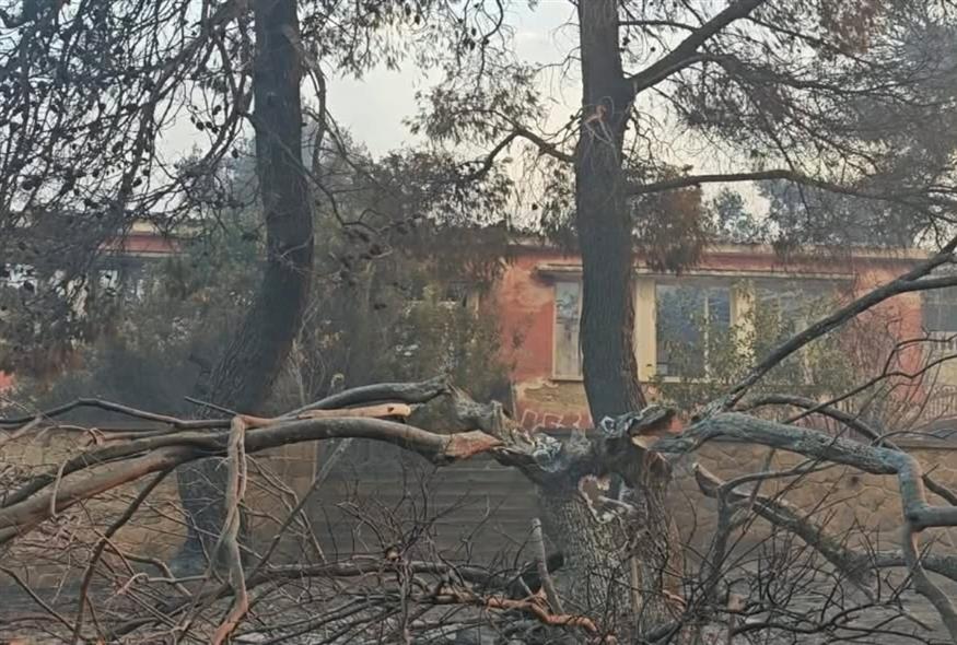 Κάηκε το σχολείο στο Πόρτο Γερμενό (ethnos.gr/Κώστας Ασημακόπουλος)