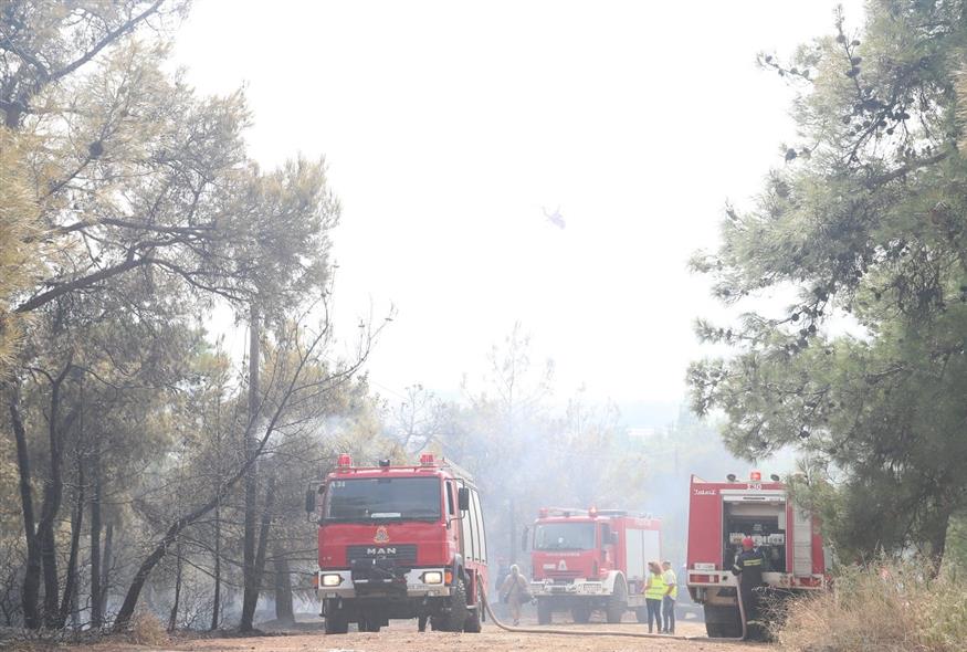 Πυροσβεστικά οχήματα επιχειρούν σε δασική πυρκαγιά (EUROKINISSI - Φωτογραφία αρχείου)