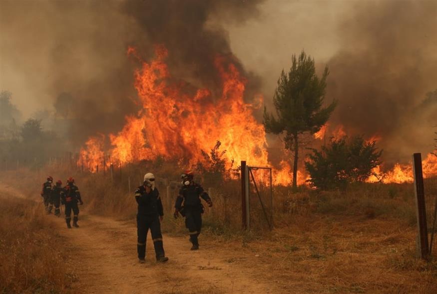 Πύρινη κόλαση στα Μέγαρα (ΑΠΕ-ΜΠΕ/ΟΡΕΣΤΗΣ ΠΑΝΑΓΙΩΤΟΥ) Πύρινη κόλαση στα Μέγαρα (ΑΠΕ-ΜΠΕ/ΟΡΕΣΤΗΣ ΠΑΝΑΓΙΩΤΟΥ)
