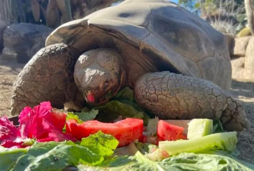 Η Γκράμμα τους έθαψε όλους, δύο φορές και έφυγε για το δικό της ταξίδι...
