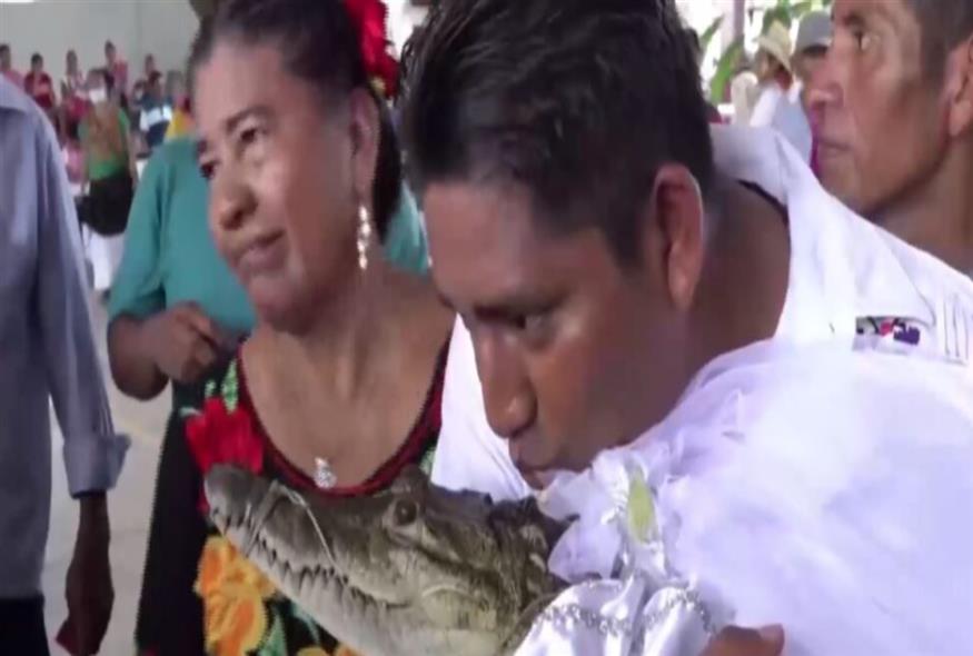 Δήμαρχος παντρεύτηκε ... θηλυκό αλιγάτορα/youtube
