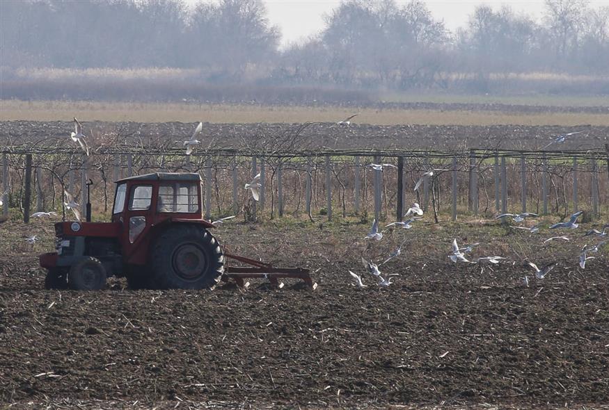 Τρακτέρ σε χωράφι (EUROKINISSI/ΛΕΩΝΙΔΑΣ ΤΖΕΚΑΣ)