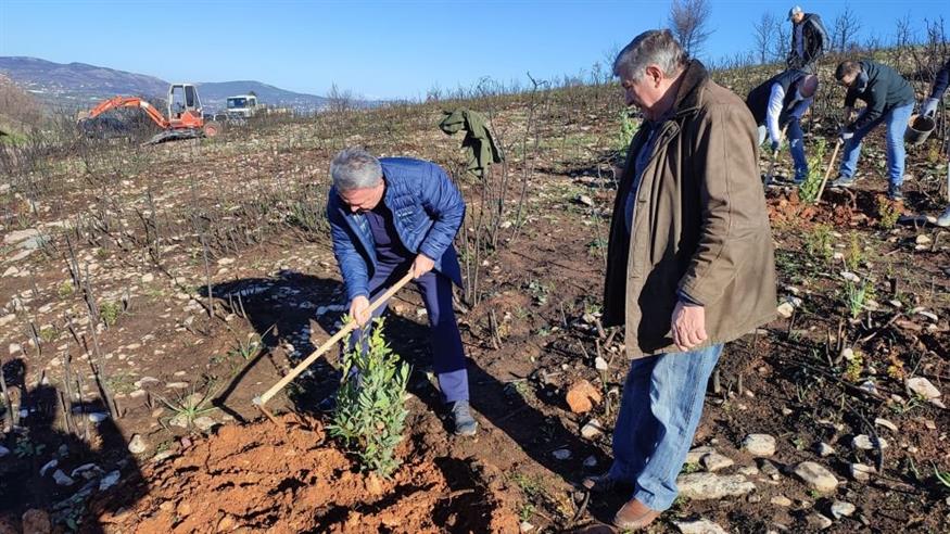 Ο δήμαρχος Ωρωπού Γιώργος Γιασημάκης και ο αντιδήμαρχος Γιάννης Δήμας φυτεύουν το δέντρο τους