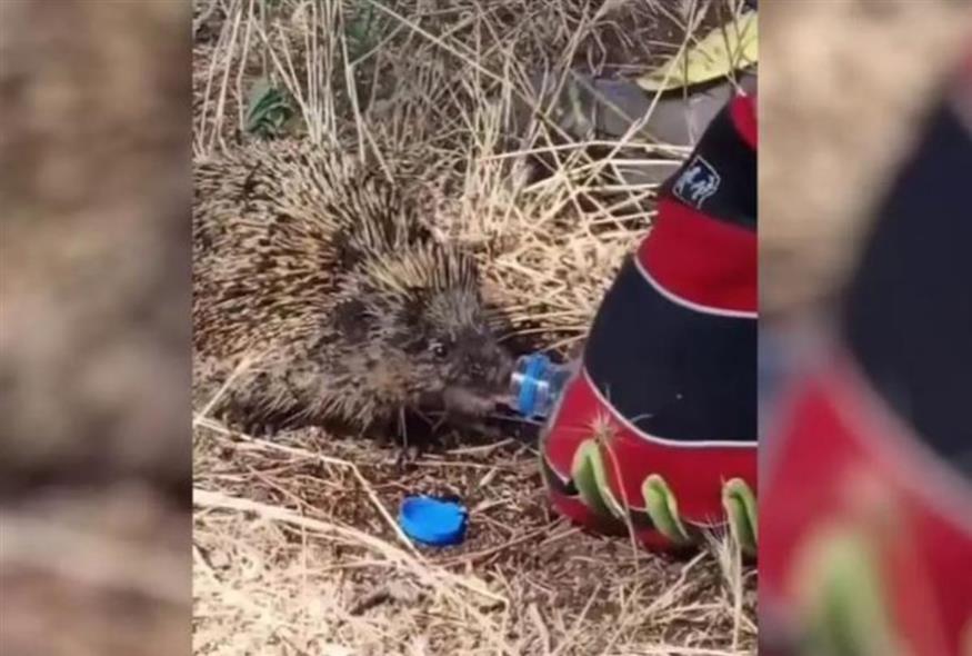 Πυροσβέστης Καστοριά