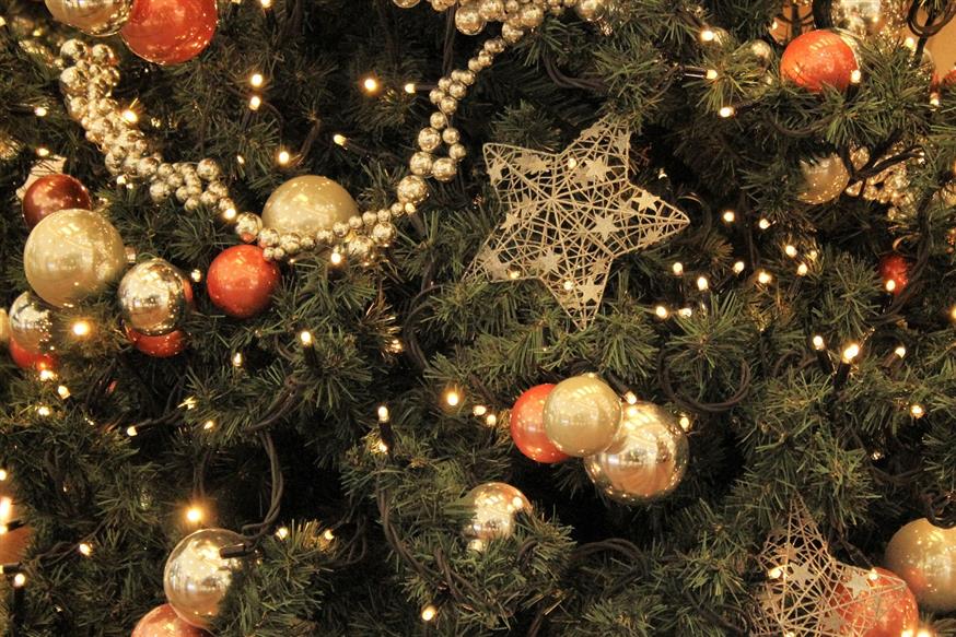 Χριστουγεννιάτικο δέντρο/(pixabay)