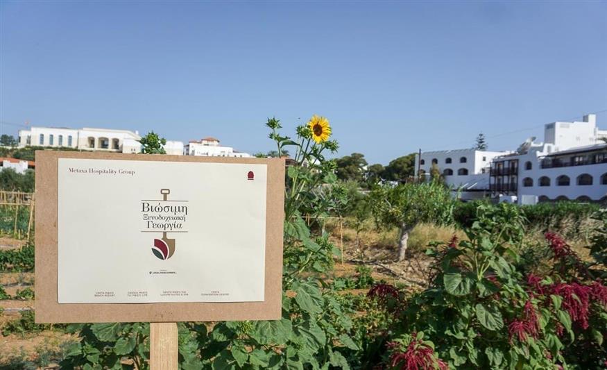 Metaxa Hospitality Group: Ο πρώτος Όμιλος φιλοξενίας στην Ελλάδα με πιστοποιημένες βιολογικές-αναγεννητικές γαίες από τη Δ.Η.Ω.