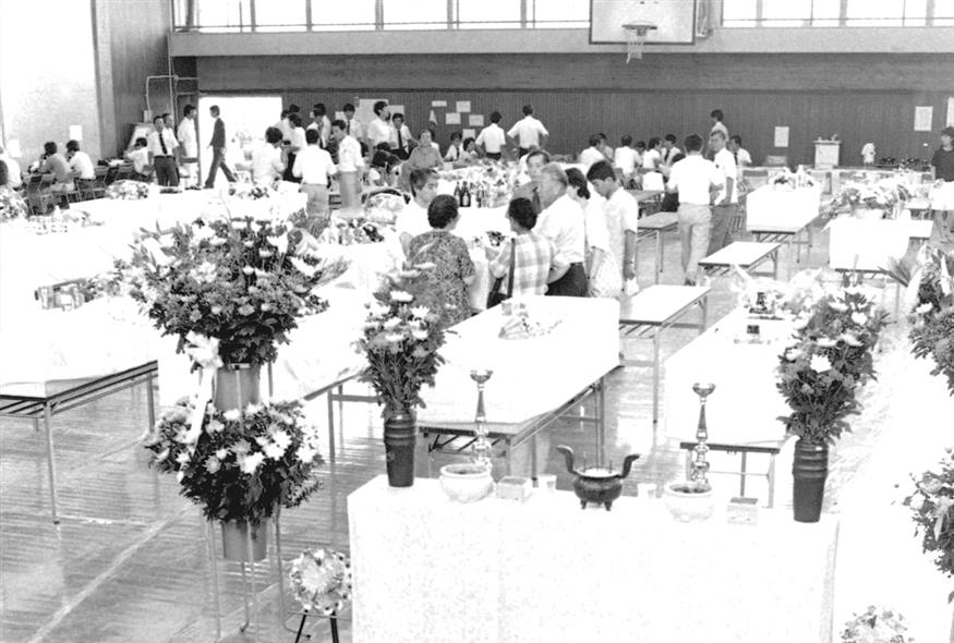 Japan airlines flight 123 Japan airlines flight 123