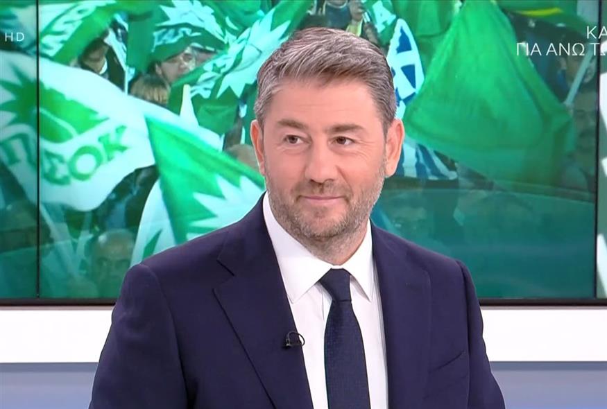 Ο Νίκος Ανδρουλάκης στο OPEN / video capture