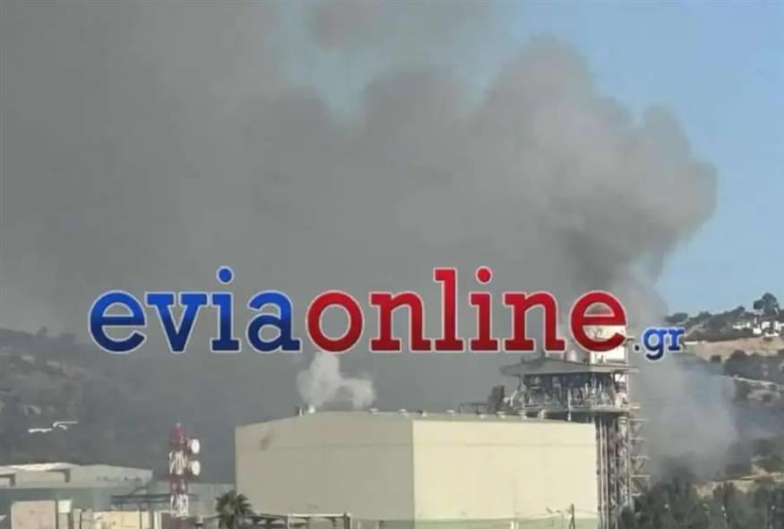 Φωτιά (eviaonline.gr)