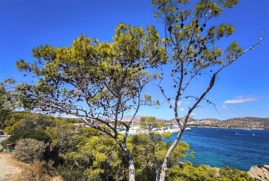 Καλοκαιρία την Παρασκευή (Eurokinissi)