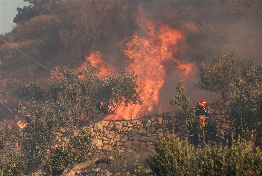 Φωτιά στην Ιεράπετρα: Ακραίες οι συνθήκες μέχρι το απόγευμα - Αποκαρδιωτικές εικόνες και ανυπολόγιστες οι καταστροφές Φωτιά στην Ιεράπετρα: Ακραίες οι συνθήκες μέχρι το απόγευμα - Αποκαρδιωτικές εικόνες και ανυπολόγιστες οι καταστροφές