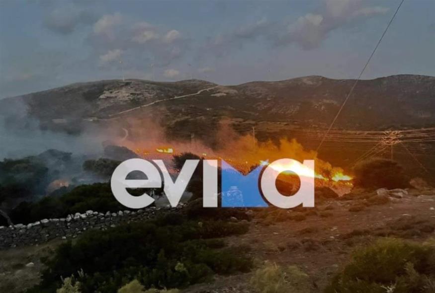 Στιγμιότυπο από τη φωτιά στην Εύβοια/evima.gr