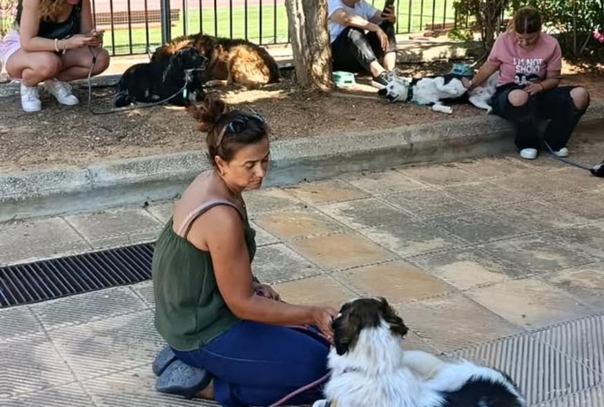 Φωτιά Κουβαρά(Πηγή: facebook) Φωτιά Κουβαρά(Πηγή: facebook)
