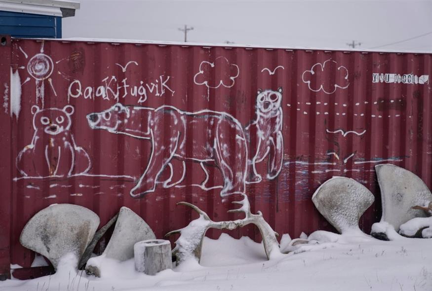 Πολικές αρκούδες και η λέξη «Kaktovik» στη γλώσσα των Ινουπιάκ (Inupiat),  ζωγραφισμένες σε ένα εμπορευματοκιβώτιο στον οικισμό Kaktovik της Βόρειας Αλάσκας (AP)