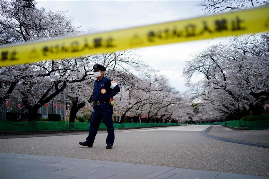 Ανθισμένες κερασιές στην Ιαπωνία/AP Images