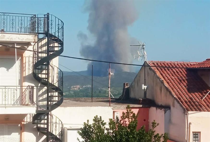 Φωτιά τώρα στον Άγιο Βλάσιο Βοιωτίας Φωτιά τώρα στον Άγιο Βλάσιο Βοιωτίας
