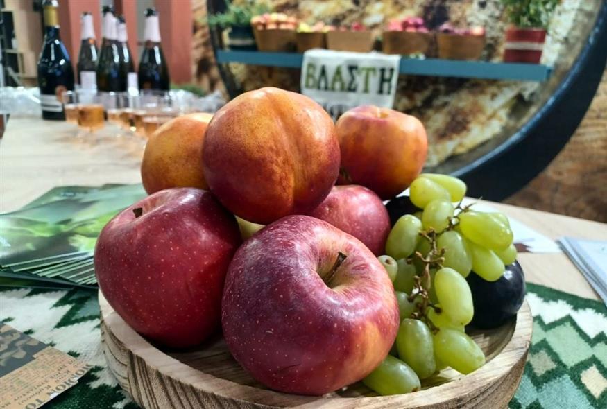 Επόμενη στάση: Δυτική Μακεδονία | © Χριστίνα Τσαμουρά Επόμενη στάση: Δυτική Μακεδονία | © Χριστίνα Τσαμουρά