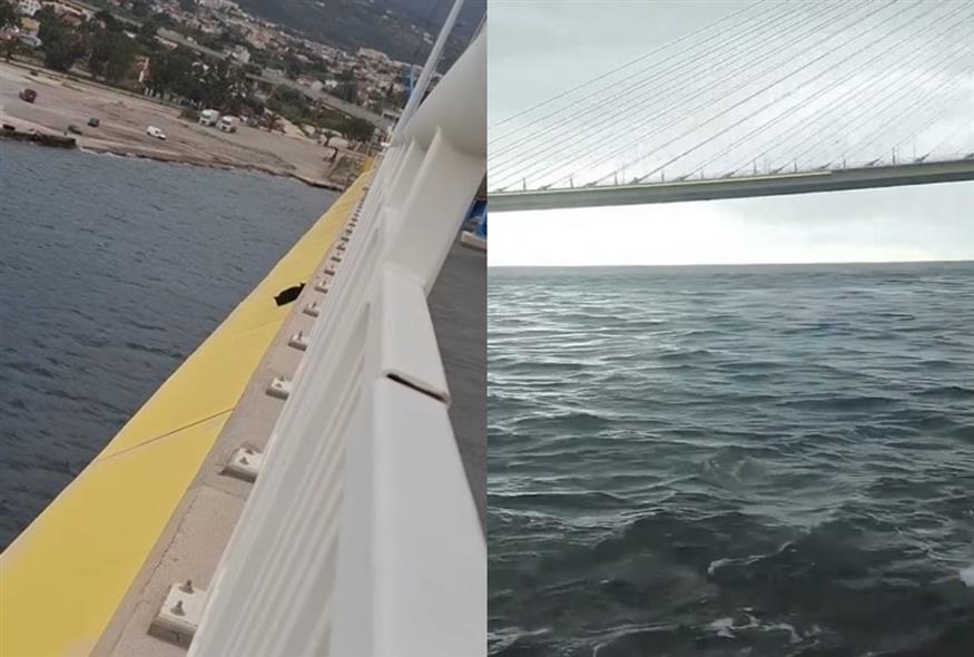 Γάτα έπεσε από τη γέφυρα Ρίου-Αντιρρίου (Screenshots/zoosos)