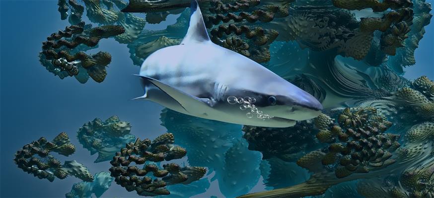 Μπλε καρχαρίας/pixabay.com