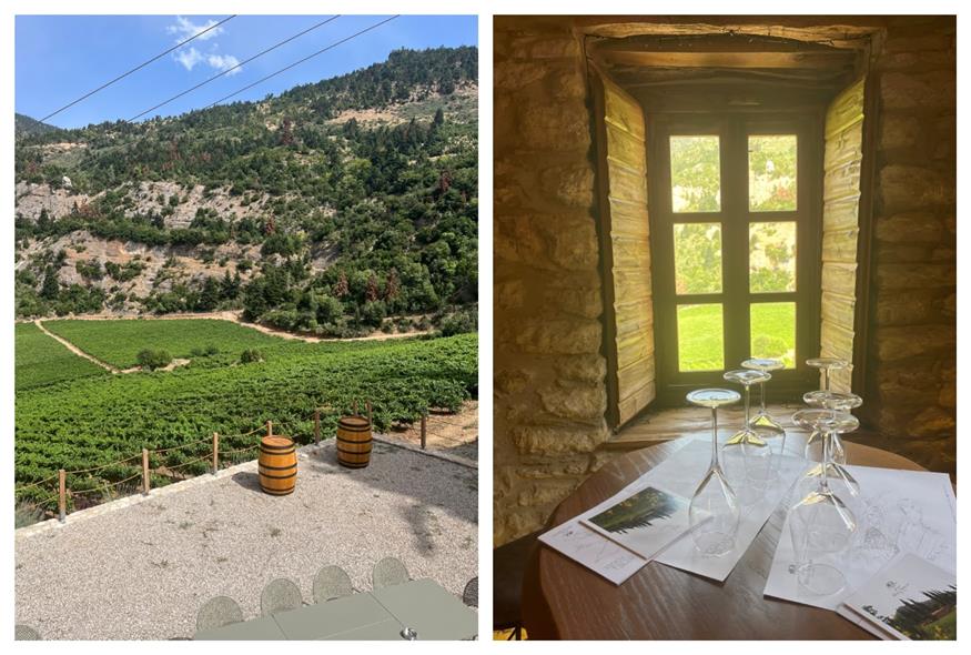 Μέγα Σπήλαιο Το «Μεγάλο Αμπέλι», σύμφωνα με επίσημες αναφορές, από το 1550 αποτελούσε τον μοναστηριακό αμπελώνα της Μονής του Μεγάλου Σπηλαίου που καλλιεργούσαν οι μοναχοί και έφτιαχναν το κρασί τους