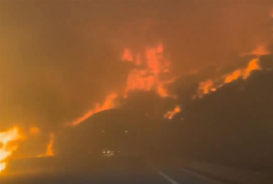 φωτιές στη Νότια Κορέα/Χ