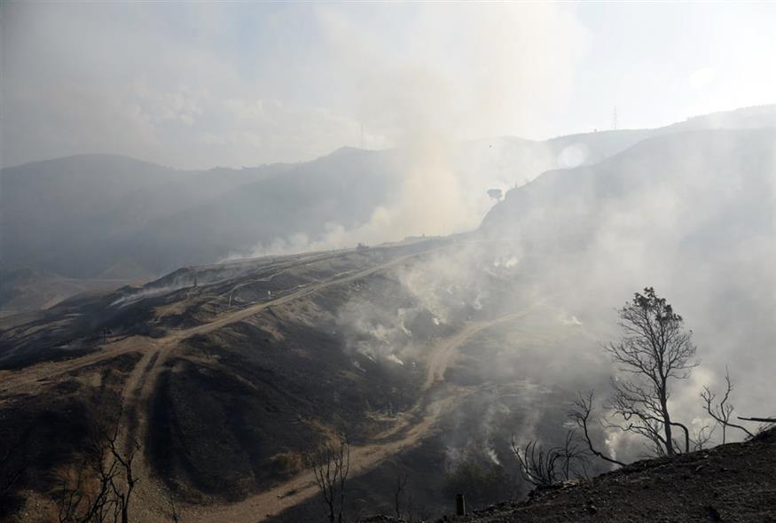 Καμένα σπίτια, απανθρακωμένα δέντρα και δρόμοι: Εικόνες καταστροφής από την Πάτρα (gallery) Καμένα σπίτια, απανθρακωμένα δέντρα και δρόμοι: Εικόνες καταστροφής από την Πάτρα (gallery)