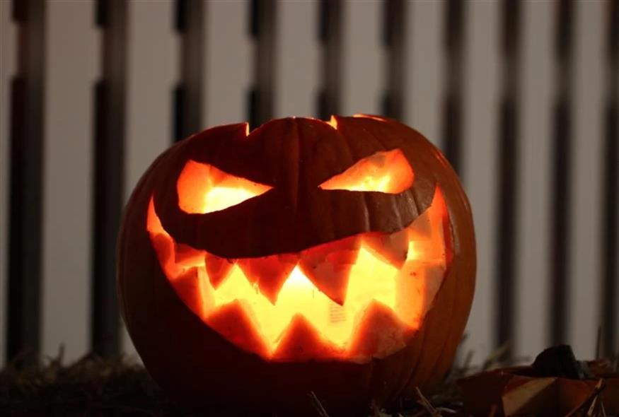 Halloween Halloween