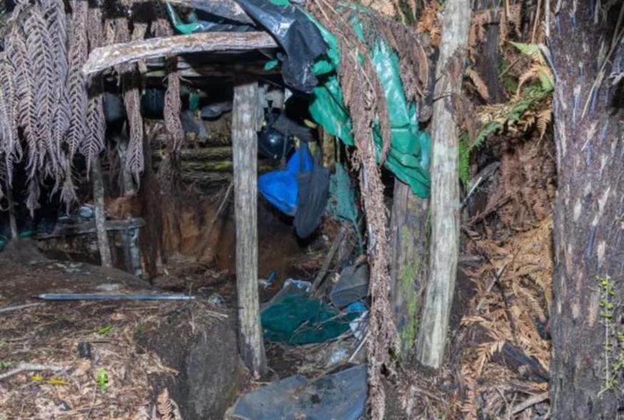 Κρησφύγετα στο δάσος (Αστυνομία Νέας Ζηλανδίας)