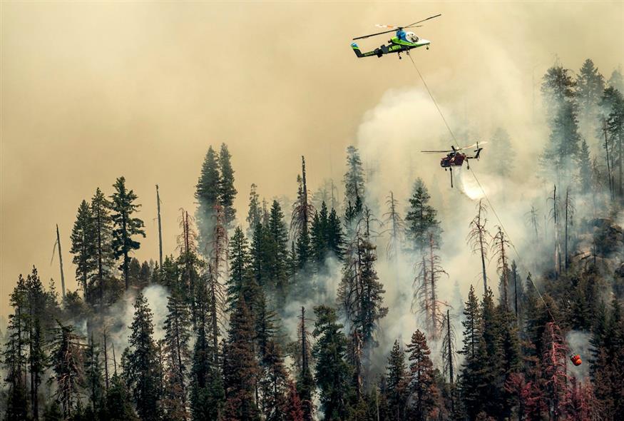 AP Photo/Noah Berger