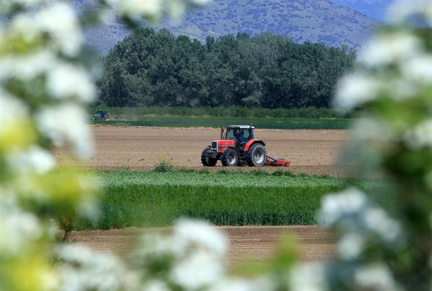 Τρακτέρ (INTIME NEWS/ΓΙΩΡΓΟΣ ΚΥΔΩΝΑΣ)