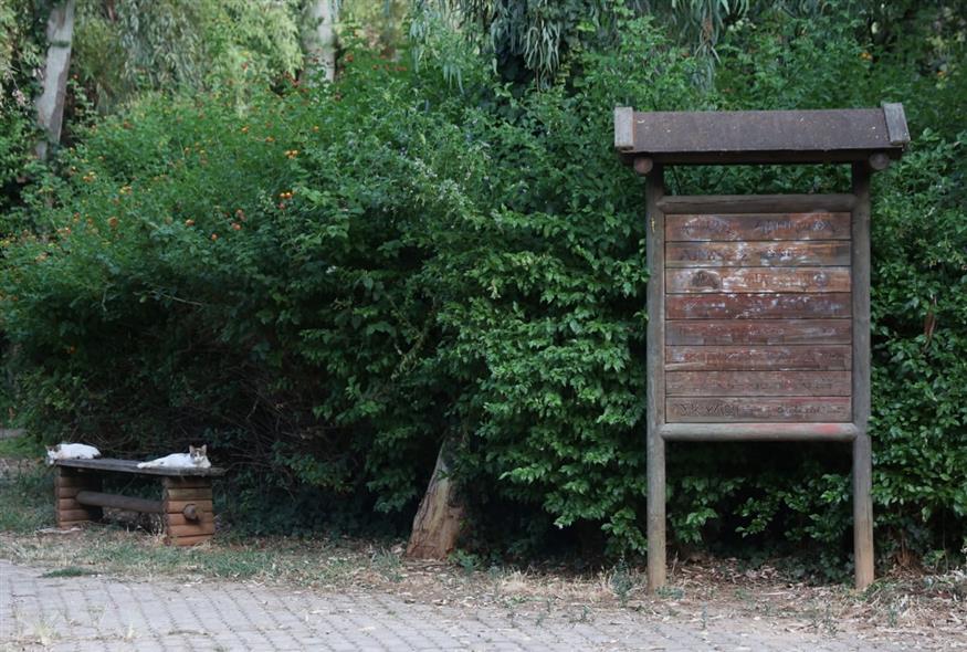 Άλσος Χωροφυλακής (ΙΝΤΙΜΕ)