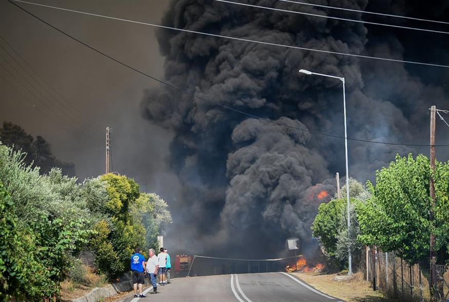 Φωτιά στην Ηλεία - Τρομάζουν οι εικόνες από το μέτωπο της φωτιάς