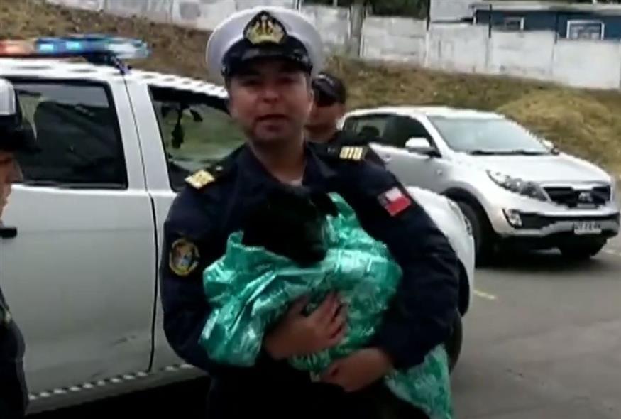 Η σκυλίτσα σώα στην αγκαλιά ενός άνδρα του Ναυτικού της Χιλής (YouTube)