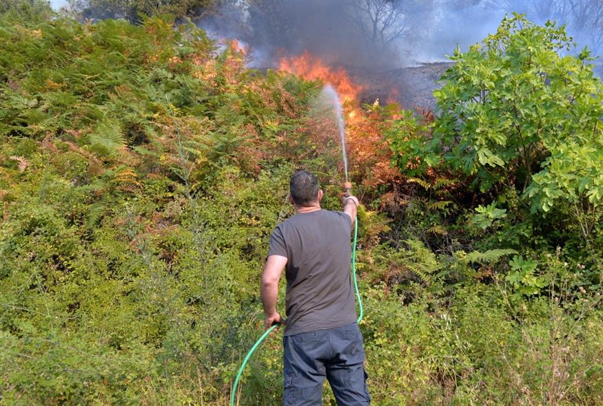 (ΝΙΚΗΤΑΣ ΚΟΤΣΙΑΡΗΣ / EUROKINISSI)