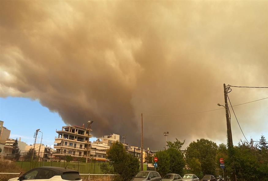 Μεγάλη φωτιά στην Αλεξανδρούπολη (ethnos.gr/Παναγιώτης Βελισσάρης)