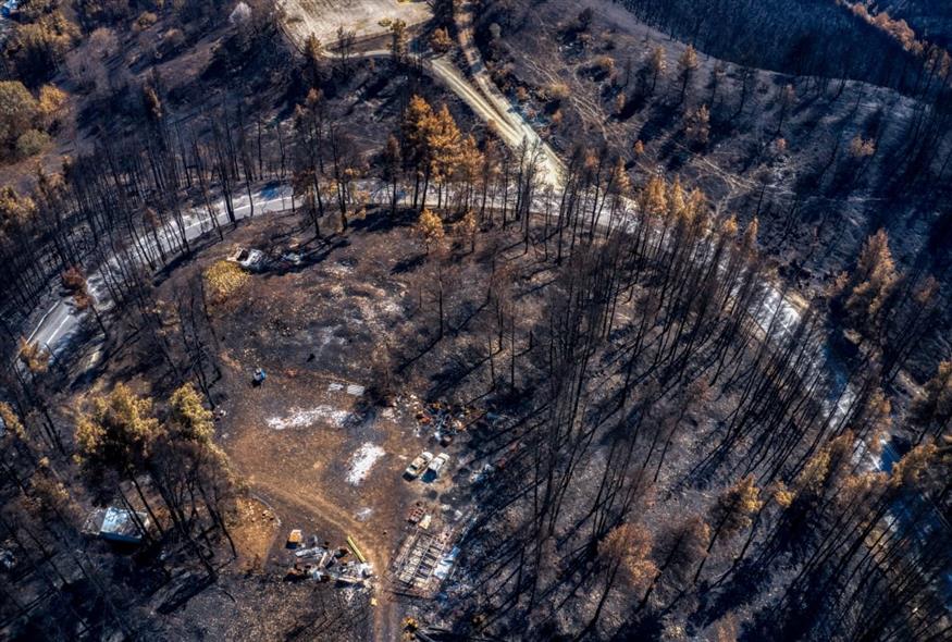 Η καταστροφή της μεγάλης φωτιάς στη Βόρεια Εύβοια (EUROKINISSI)