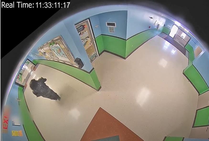 Μακελειό σε σχολείο στο Τέξας / Video Capture