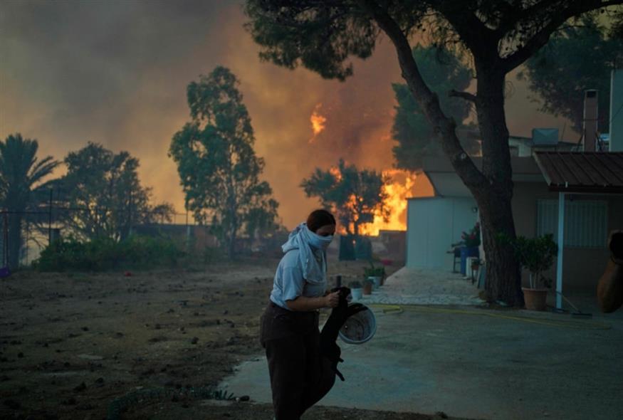 Διάσωση ζώων από τις πυρκαγιές