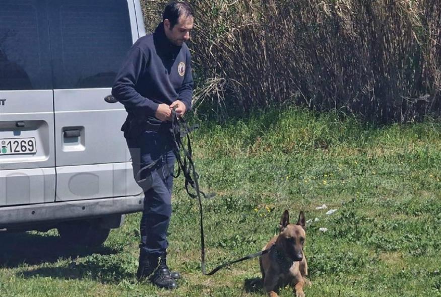 Σκύλος της ΕΛΑΣ στις έρευνες για τον 34χρονο φερόμενο μητροκτόνο (makthes.gr)