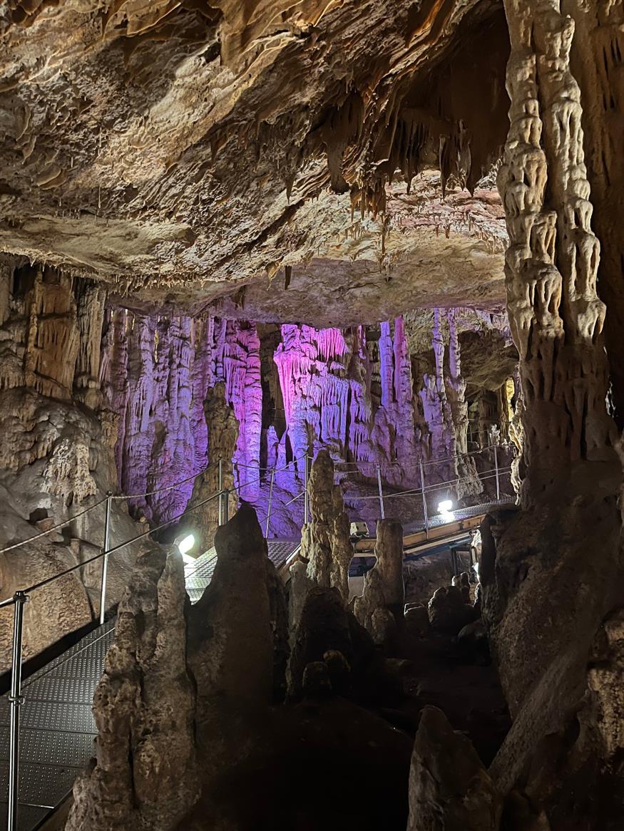 Σπήλαιο Σφενδόνη Στο Σπήλαιο Σφενδόνη ζουν τέσσερα είδη νυχτερίδας και δεκάδες ασπόνδυλα, πολλά από αυτά τυφλά ή άχρωμα, προσαρμοσμένα στη σιωπή και το σκοτάδι, ενώ κάποια είδη έχουν βρεθεί μόνο εκεί (Copyright: Ethnos.gr)