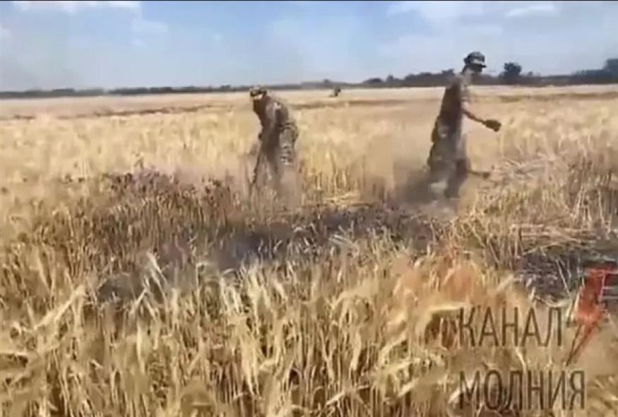 Ουκρανοί προσπαθούν να σβήσουν φωτιά σε χωράφι με σιτάρι/Daily Mail