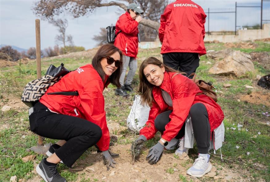 Δεύτερη εθελοντική αναδάσωση στην Πεντέλη από τους εργαζόμενους της Henkel Hellas