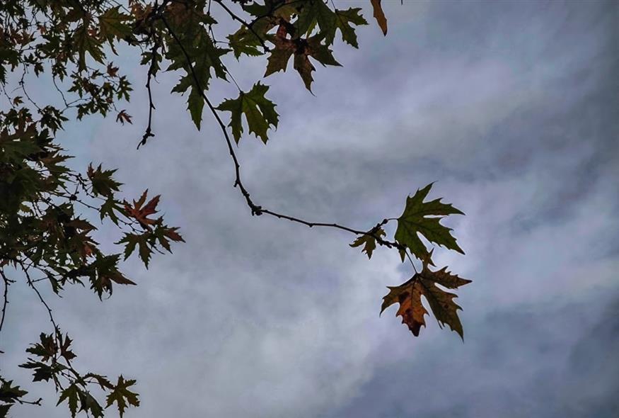Φθινόπωρο/ Eurokinissi